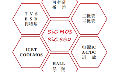 薩科微宋仕強：未來重點開發(fā)高壓碳化硅和IGBT模塊